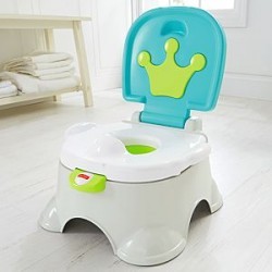 Silla de Entrenamiento 2 en 1 - Fisher Price