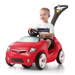 Carro para Empujar con baston