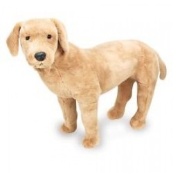 Peluche - Labrador
